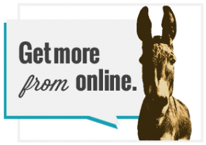 Get More From Online - Shout Out Studio